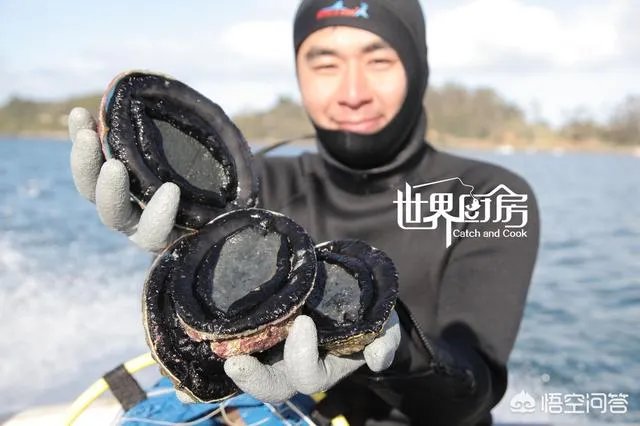 除了《游钓中国》,你还喜欢什么钓鱼类视频?
