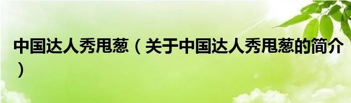 中国达人秀甩葱（关于中国达人秀甩葱的简介）