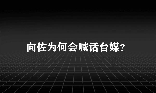 向佐为何会喊话台媒？