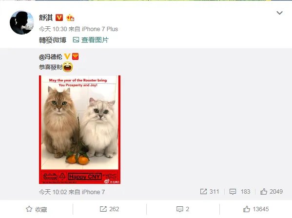 舒淇冯德伦撒狗粮是怎么回事?