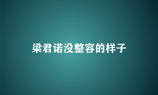 梁君诺没整容的样子