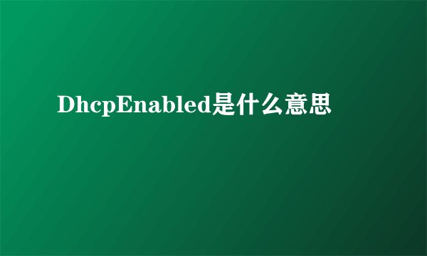 DhcpEnabled是什么意思