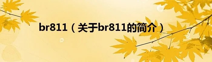 br811（关于br811的简介）
