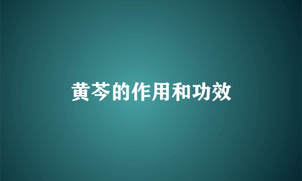 黄芩的作用和功效