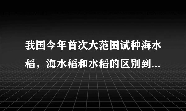 我国今年首次大范围试种海水稻,海水稻和水稻的区别到底有哪些?