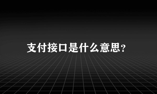 支付接口是什么意思？