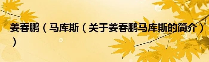 姜春鹏（马库斯（关于姜春鹏马库斯的简介））