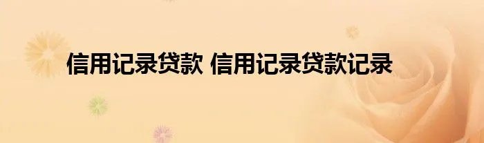 信用记录贷款 信用记录贷款记录
