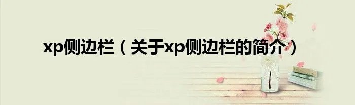 xp侧边栏(关于xp侧边栏的简介)