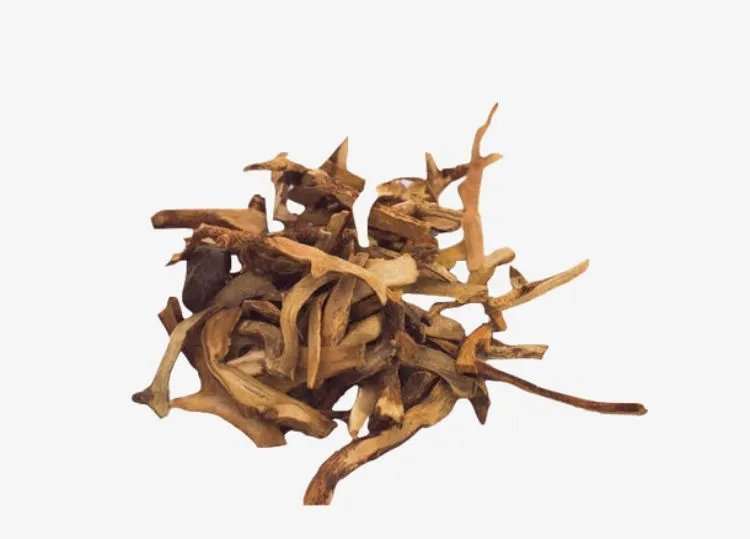 骨碎补的功效与作用