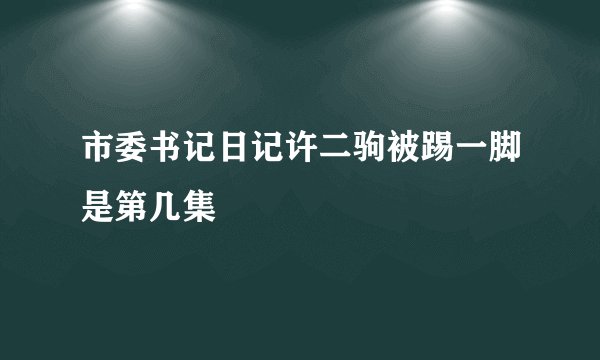 市委书记日记许二驹被踢一脚是第几集
