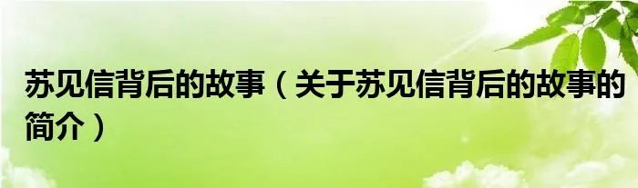 苏见信背后的故事（关于苏见信背后的故事的简介）