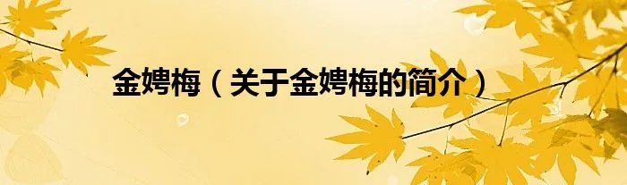 金娉梅（关于金娉梅的简介）