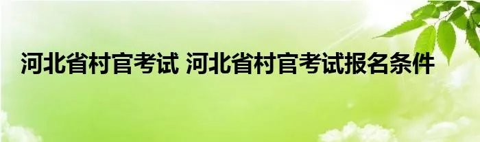 河北省村官考试 河北省村官考试报名条件