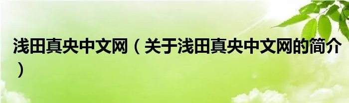 浅田真央中文网（关于浅田真央中文网的简介）
