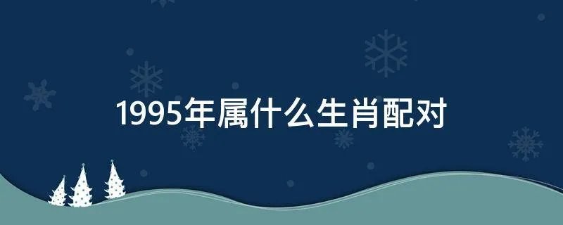1995年属什么生肖配对