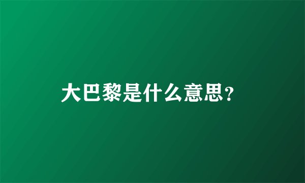 大巴黎是什么意思？