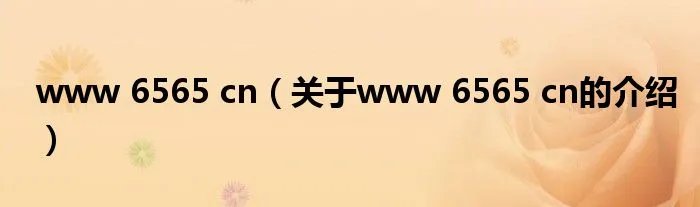 www 6565 cn（关于www 6565 cn的介绍）