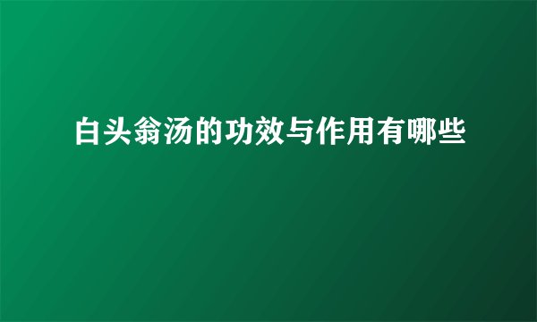 白头翁汤的功效与作用有哪些
