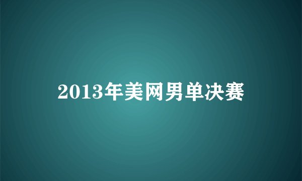 2013年美网男单决赛