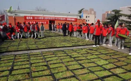 青少年为何要在楼顶植绿?
