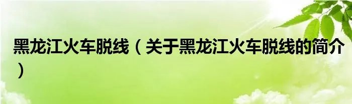 黑龙江火车脱线（关于黑龙江火车脱线的简介）