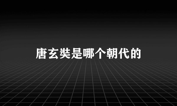 唐玄奘是哪个朝代的
