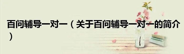百问辅导一对一（关于百问辅导一对一的简介）