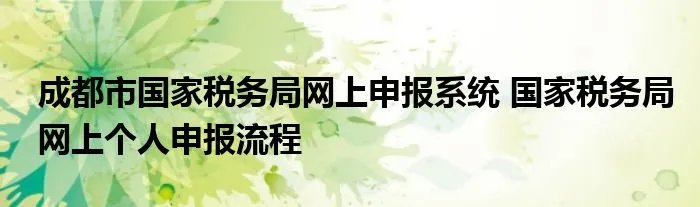 成都市国家税务局网上申报系统 国家税务局网上个人申报流程