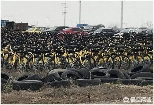 南京,真的是共享单车“死城”了吗?