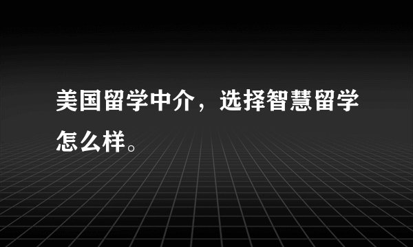 美国留学中介，选择智慧留学怎么样。