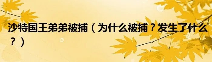 沙特国王弟弟被捕（为什么被捕？发生了什么？）
