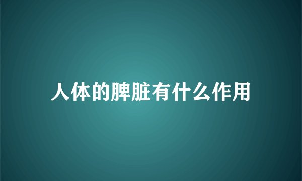 人体的脾脏有什么作用