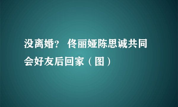 没离婚？ 佟丽娅陈思诚共同会好友后回家（图）