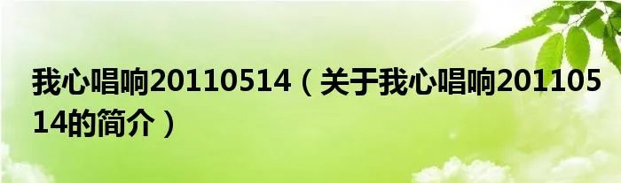 我心唱响20110514（关于我心唱响20110514的简介）