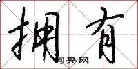 拥有