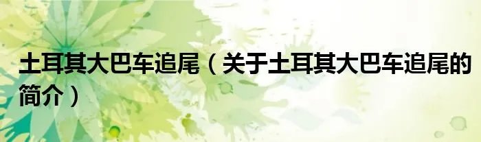 土耳其大巴车追尾（关于土耳其大巴车追尾的简介）