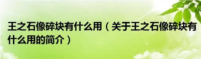 王之石像碎块有什么用（关于王之石像碎块有什么用的简介）