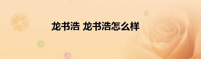 龙书浩 龙书浩怎么样