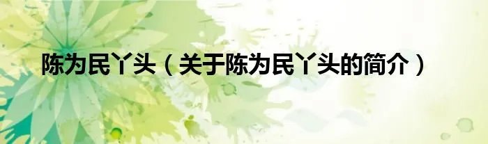 陈为民丫头（关于陈为民丫头的简介）