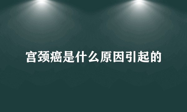 宫颈癌是什么原因引起的