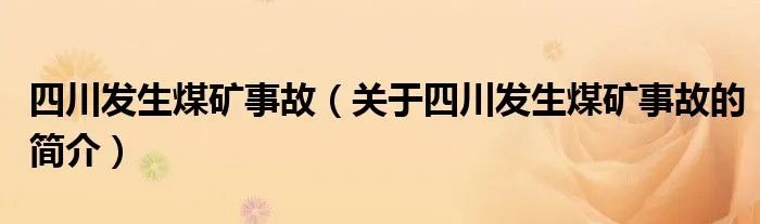 四川发生煤矿事故（关于四川发生煤矿事故的简介）