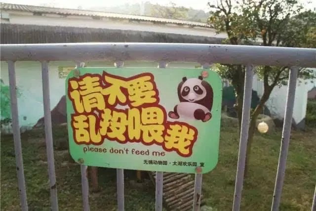 游客疑给动物喂口罩,到底是真是假呢?
