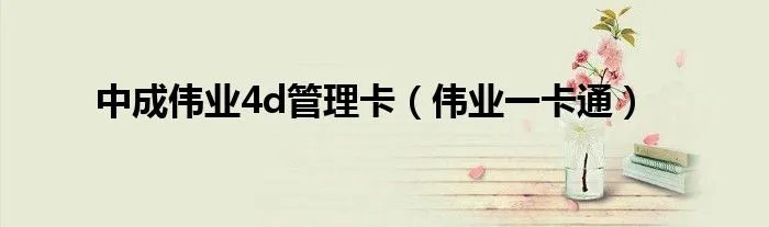 中成伟业4d管理卡（伟业一卡通）