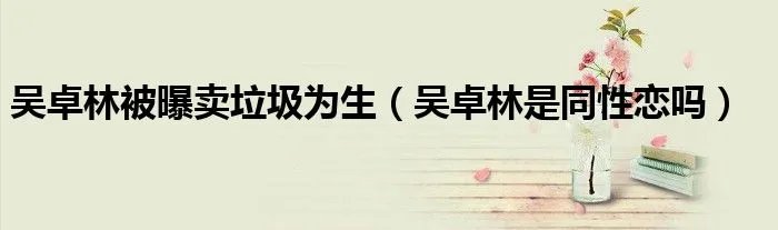 吴卓林被曝卖垃圾为生（吴卓林是同性恋吗）