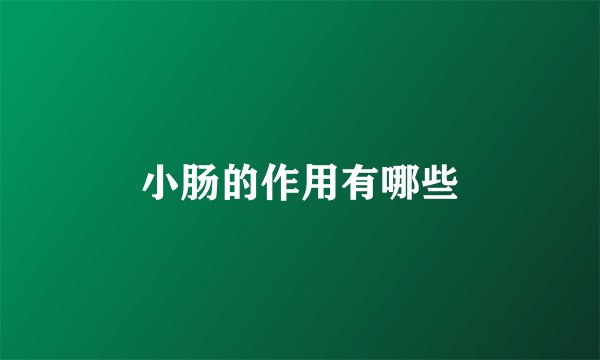 小肠的作用有哪些