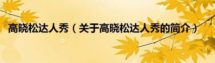 高晓松达人秀（关于高晓松达人秀的简介）