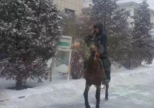 雪天骑马撞人逃逸将受到什么处罚?