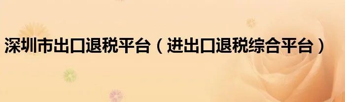 深圳市出口退税平台（进出口退税综合平台）