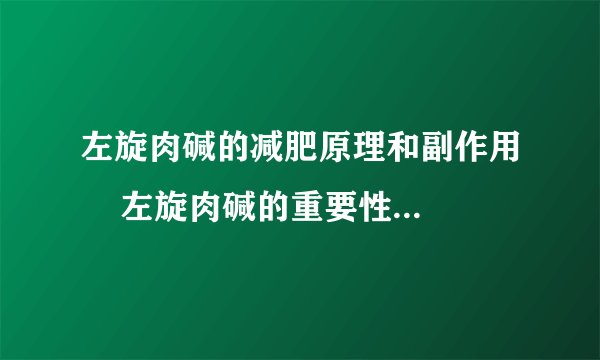 左旋肉碱的减肥原理和副作用    左旋肉碱的重要性有哪些呢